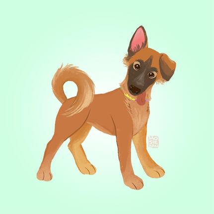 Pup Pup